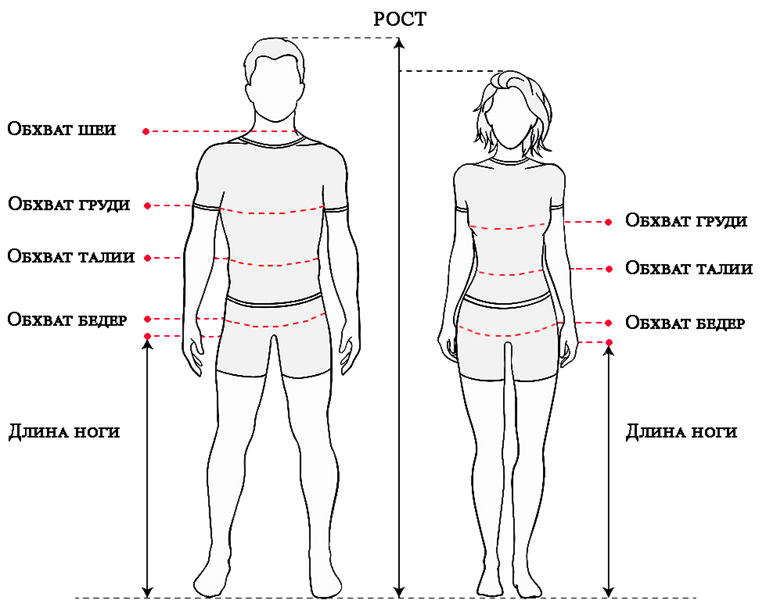 Обхват шеи. Замеры обхват груди талии бедер. Замеры грудь талия бедра. Схема человека для замеров.